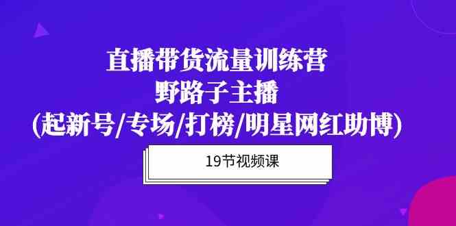 直播带货流量特训营，野路子主播(起新号/专场/打榜/明星网红助博)-AI网创