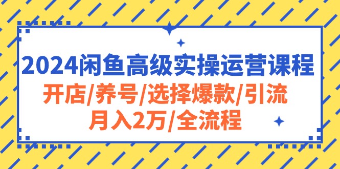 （10711期）2024闲鱼高级实操运营课程：开店/养号/选择爆款/引流/月入2万/全流程-AI网创