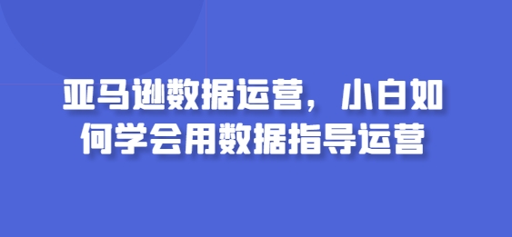 亚马逊数据运营，小白如何学会用数据指导运营-AI网创