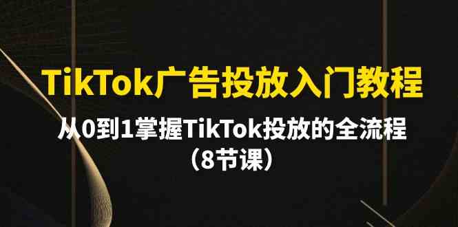 （10085期）TikTok广告投放入门教程，从0到1掌握TikTok投放的全流程（8节课）-AI网创