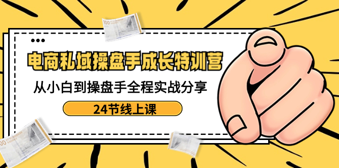 电商私域-操盘手成长特训营：从小白到操盘手全程实战分享-24节线上课-AI网创