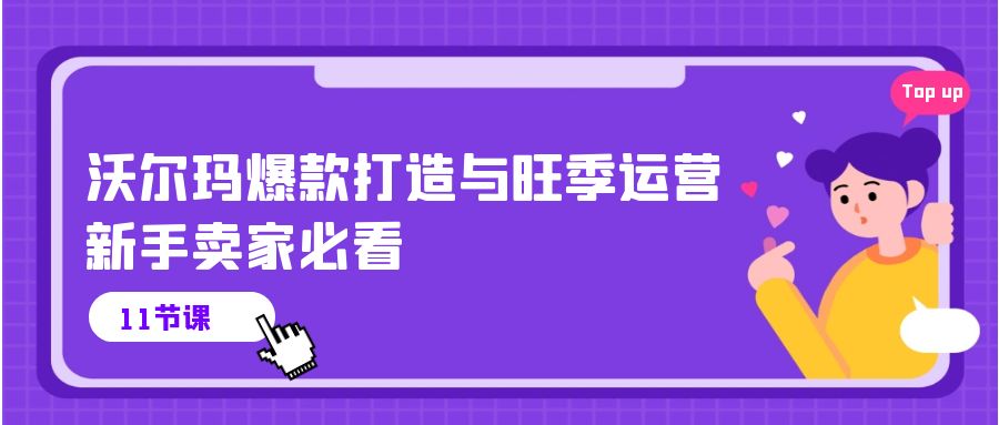 沃尔玛爆款打造与旺季运营，新手卖家必看（11节视频课）-AI网创