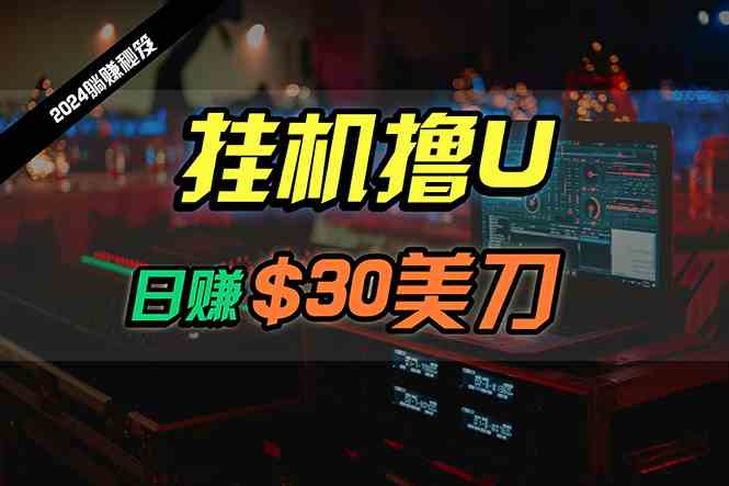 （10013期）日赚30美刀，2024最新海外挂机撸U内部项目，全程无人值守，可批量放大-AI网创