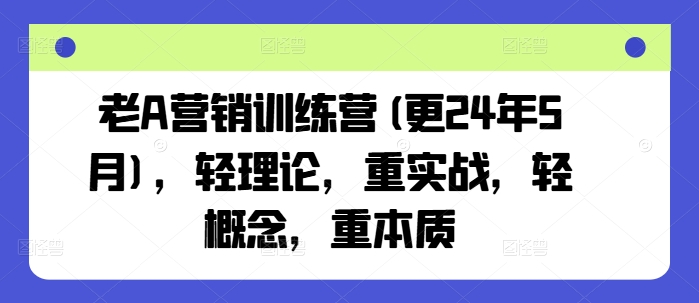 老A营销训练营(更24年5月)，轻理论，重实战，轻概念，重本质-AI网创