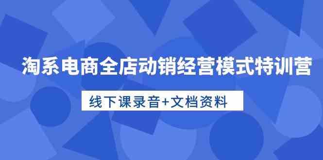 （10192期）淘系电商全店动销经营模式特训营，线下课录音+文档资料-AI网创