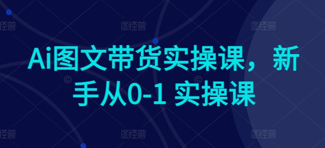 Ai图文带货实操课，新手从0-1 实操课-AI网创