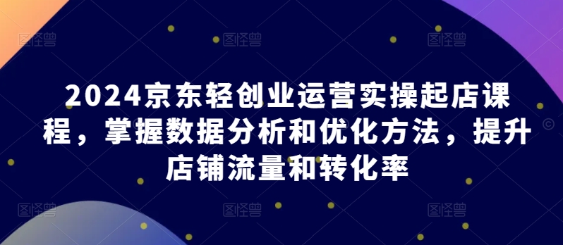 2024京东轻创业运营实操起店课程，掌握数据分析和优化方法，提升店铺流量和转化率-AI网创