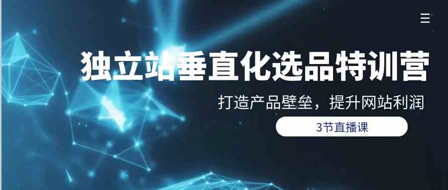 独立站垂直化选品训练营，打造产品壁垒，提升网站利润（3节直播课）-AI网创
