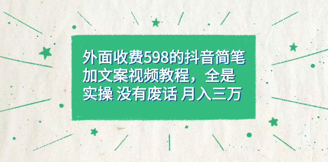 外面收费598抖音简笔加文案教程，全是实操 没有废话 月入三万（教程+资料）-AI网创