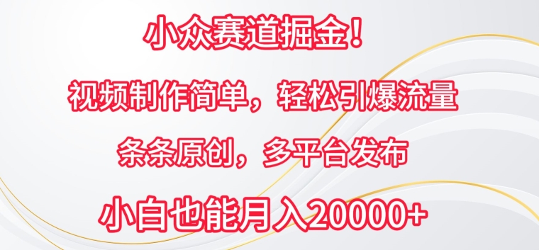 小众赛道掘金，视频制作简单，轻松引爆流量，条条原创，多平台发布-AI网创