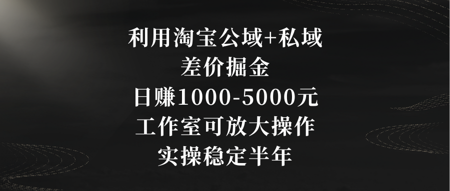 利用淘宝公域+私域差价掘金，日赚1000-5000元，工作室可放大操作，实操…-AI网创