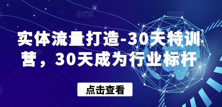 实体流量打造-30天特训营，30天成为行业标杆-AI网创