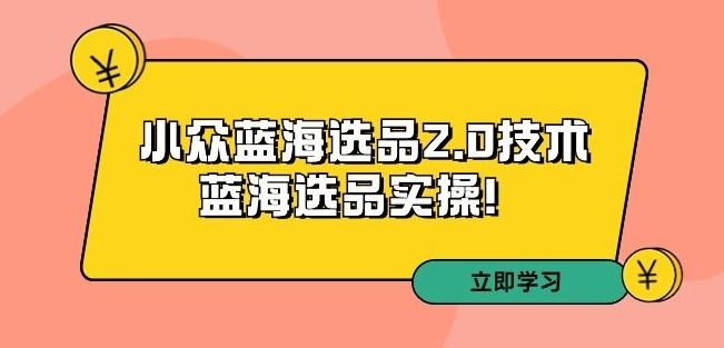 拼多多培训第33期：小众蓝海选品2.0技术-蓝海选品实操！-AI网创