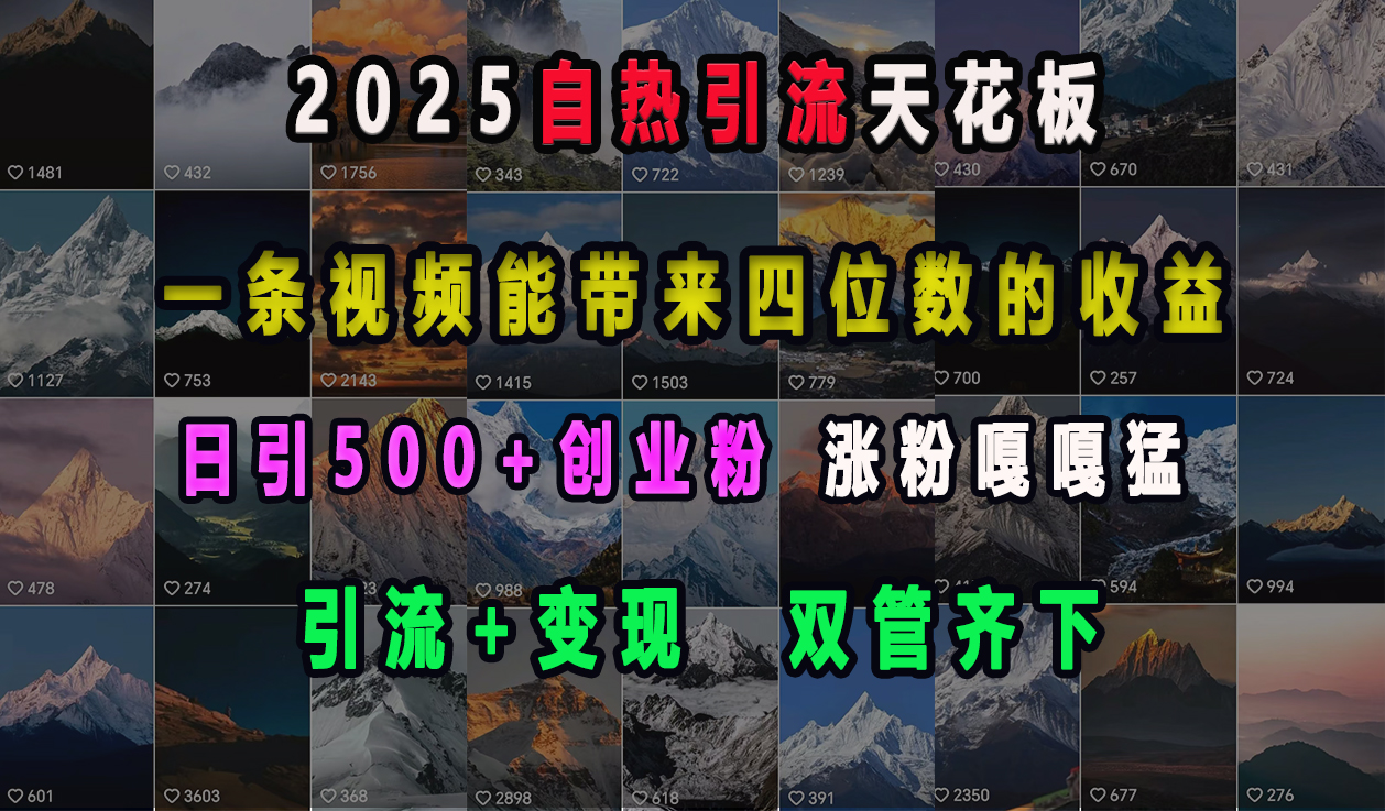 2025自热引流天花板，一条视频能带来四位数的收益，引流+变现双管齐下，日引500+创业粉，涨粉嘎嘎猛-AI网创