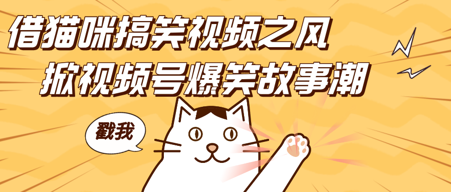 借猫咪搞笑视频之风，掀视频号爆笑故事潮，轻松日赚四位数，开启无门槛赚钱新体验！-AI网创