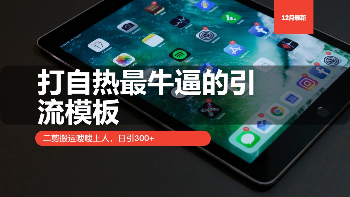 打自热最牛逼的引流模板，日引300+，二剪搬运嗖嗖上人-AI网创