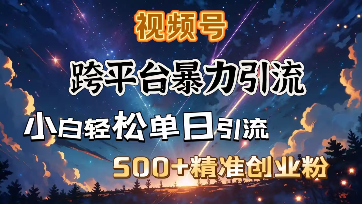 视频号跨平台暴力引流，小白轻松单日引流500＋精准创业粉-AI网创