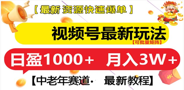 视频号独家玩法，老年养生赛道，无脑搬运爆款视频，日入1000+-AI网创