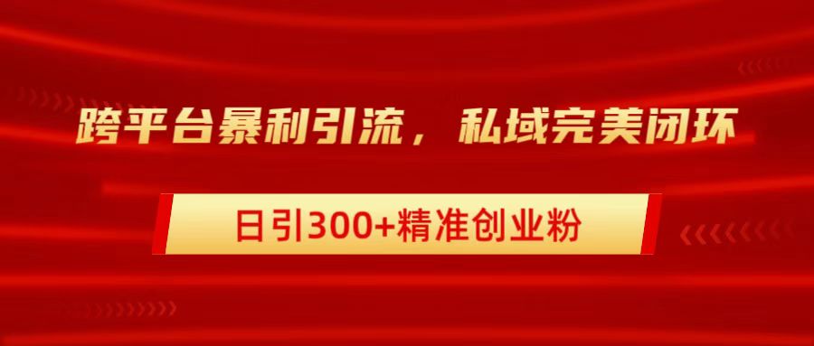 跨平台暴力引流，私域完美闭环，日引300+精准创业粉-AI网创