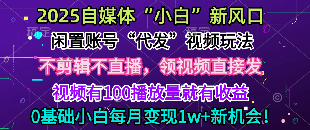 2025每月躺赚5w+新机会，闲置视频账号一键代发玩法，0粉不实名不剪辑，领了视频直接发，0基础小白也能日入300+-AI网创