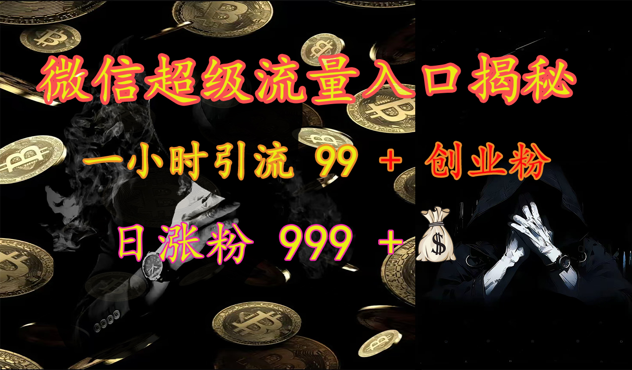 微信超级流量入口揭秘：一小时引流 99 + 创业粉，日涨粉 999 +【揭秘】-AI网创