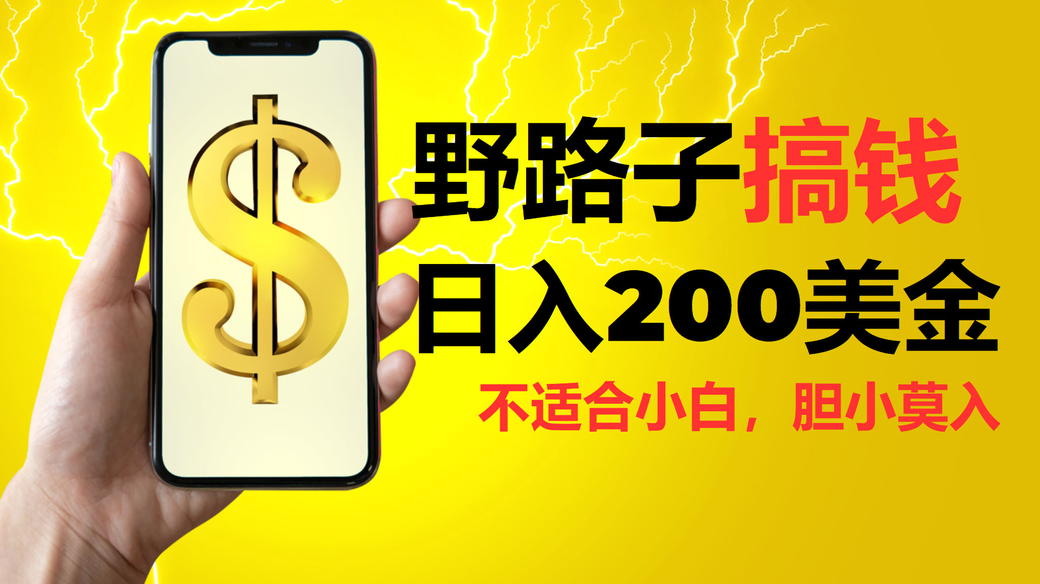 挂机野路子搞钱，日入200美金，路子很野，小白莫入-AI网创