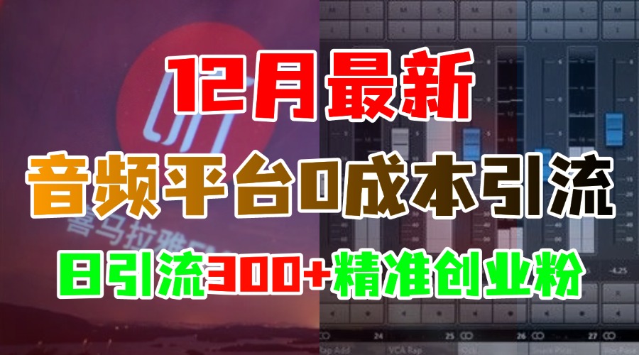 12月最新：音频平台0成本引流，日引300+精准创业粉-AI网创