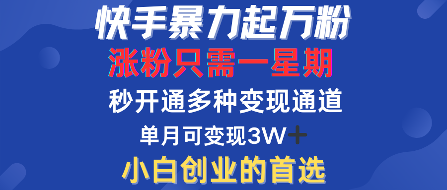 快手暴力起万粉，涨粉只需一星期！多种变现模式-AI网创