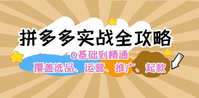 拼多多实战全攻略：0基础到精通，覆盖选品、运营、推广、起款-AI网创