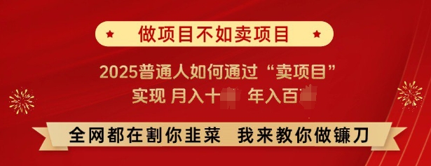 必看，做项目不如卖项目，2025普通人如何通过“卖项目”实现月入十个，年入百个-AI网创