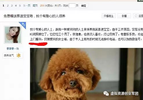 网赚项目技巧_网赚项目技巧_网赚项目技巧