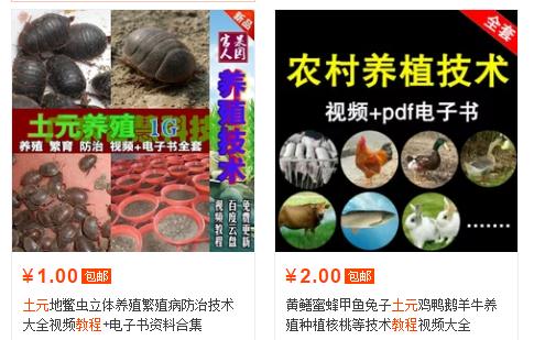 教程赚钱_做教程赚钱_网赚项目教程