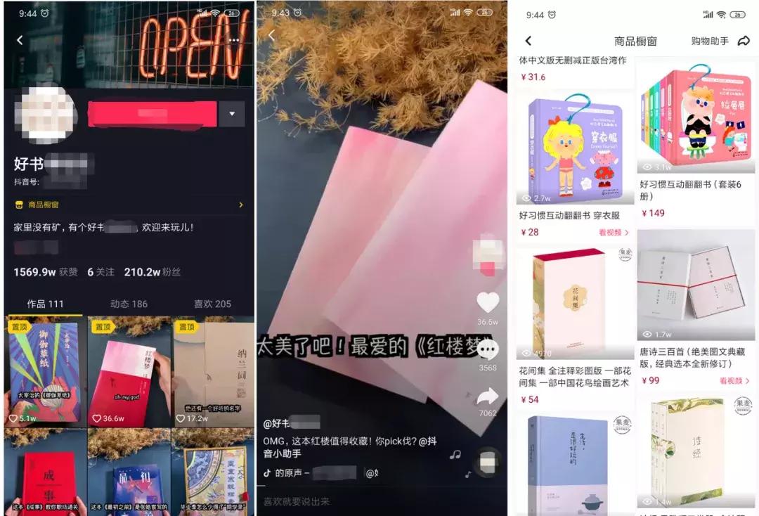 抖音内容创作秘籍：如何通过垂直领域打造个人品牌并吸引粉丝-AI网创