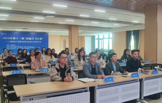 2024第十一期群雁齐飞计划：上海院校打造高效创新创业团队师资培训班成功举办-AI网创