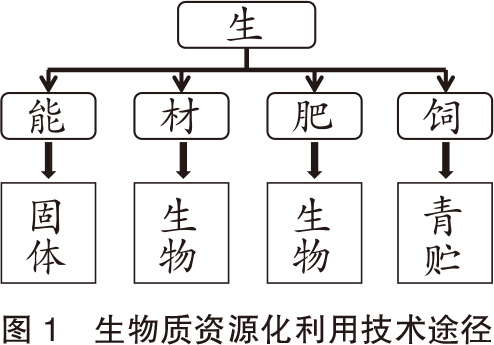 现状创网发展技术研究_网络创业现状_网创技术发展现状