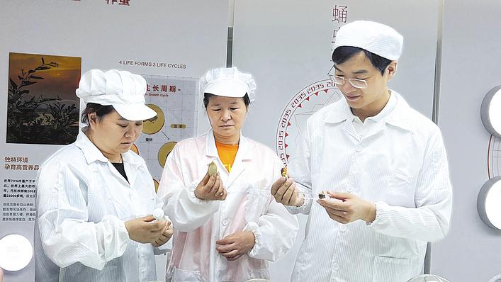 95后空姐葛悦琪返乡创业，襄城区白云村窑远乡村柴窑面包店引领田园生活新风尚-AI网创