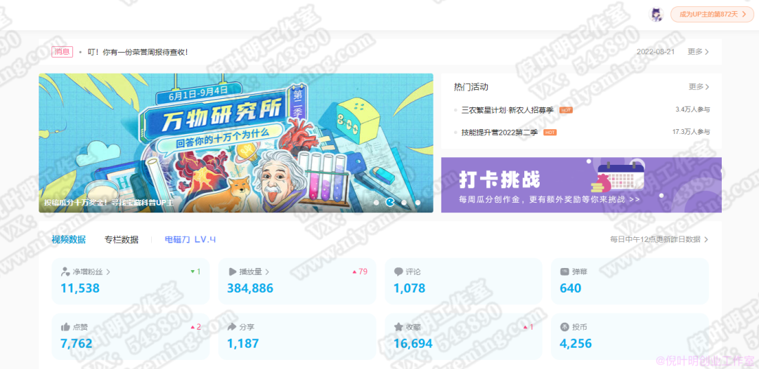 掌握精准流量获取秘籍，倪叶明创业工作室教你互联网赚钱新策略-AI网创