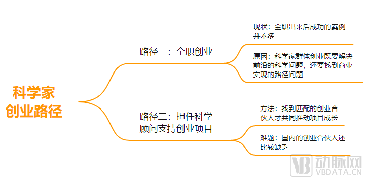 创业成功案例总结_网创技术创业成功案例_创业成功案例分析模板