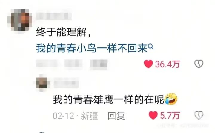 小红书到底是干什么的_小红看书_小红这本书是谁写的