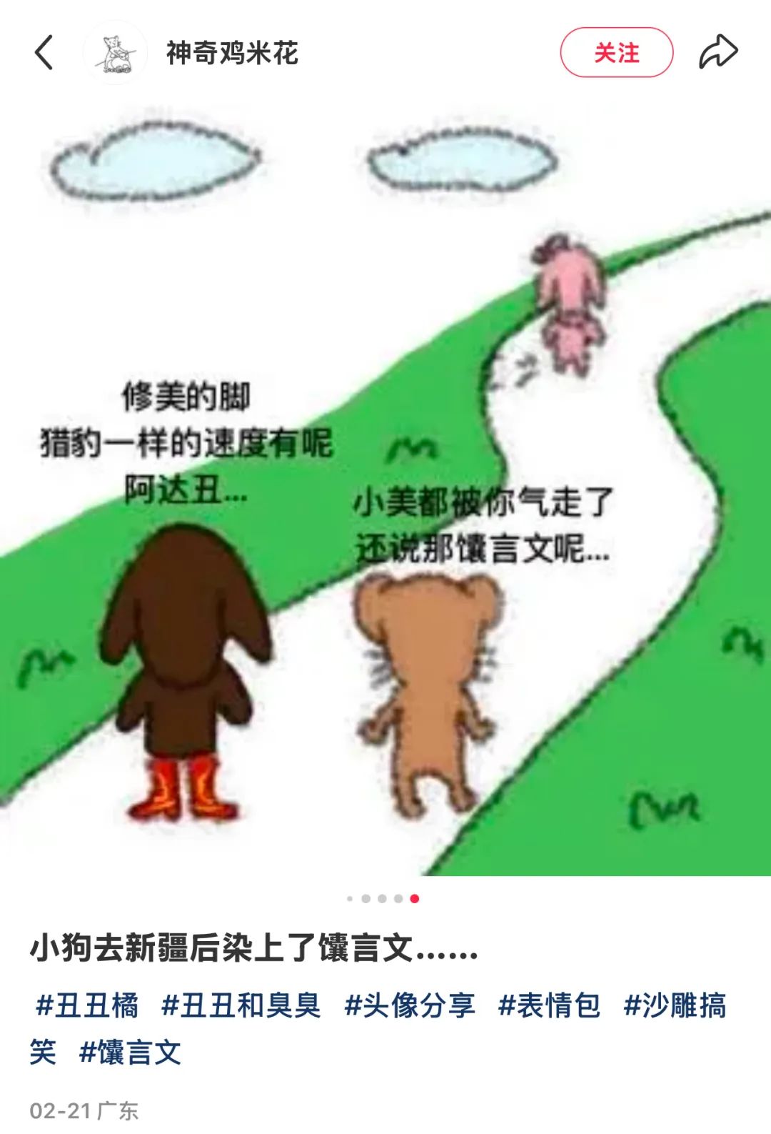 小红看书_小红书到底是干什么的_小红这本书是谁写的