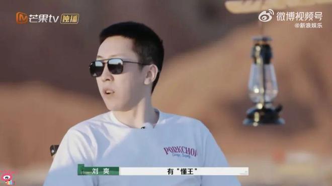 刘爽犀利点评杨子：懂王蹭黄圣依流量，揭露内娱网红大V真相-AI网创