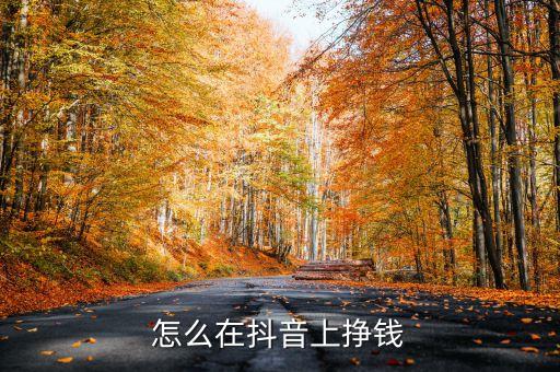 抖音赚钱全攻略：广告变现、多平台引流、微信号营销与购物车电商变现技巧-AI网创