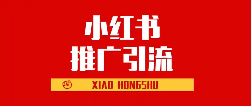 小红书达人投放指南：如何通过网红种草实现高效引流与转化-AI网创