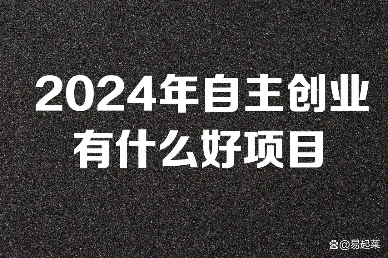 创业者看过来！2024年最具潜力与争议创业项目揭秘-AI网创