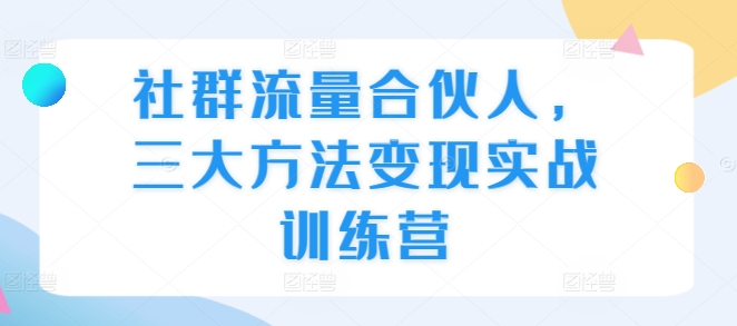 社群流量合伙人，三大方法变现实战训练营-AI网创