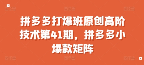 拼多多打爆班原创高阶技术第41期，拼多多小爆款矩阵-AI网创