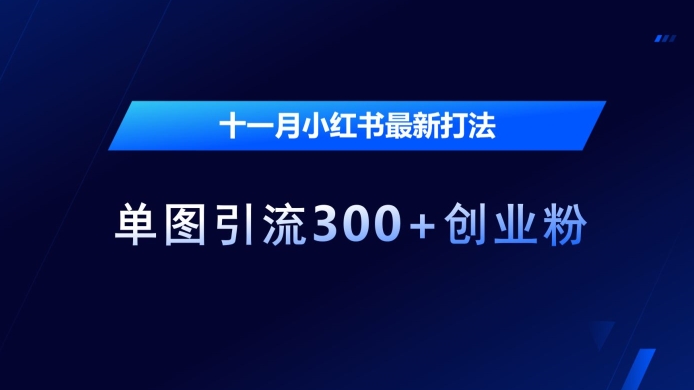 十一月小红书最新打法，单图引流300+创业粉【揭秘】-AI网创