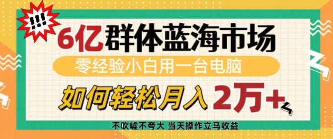 6亿群体蓝海市场，零经验小白用一台电脑，如何轻松月入过w【揭秘】-AI网创