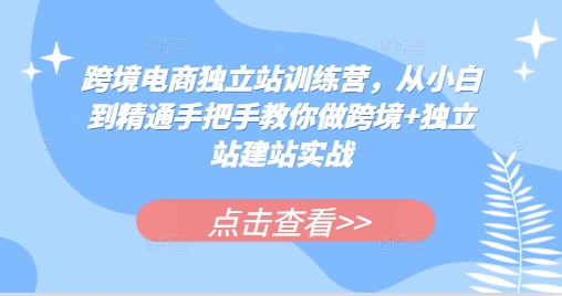跨境电商独立站训练营，从小白到精通手把手教你做跨境+独立站建站实战-AI网创