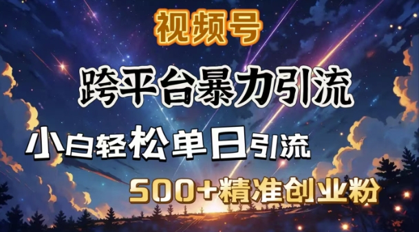 跨平台暴力引流，私域完美闭环，日引500+精准创业粉-AI网创